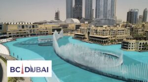 bcdubai5